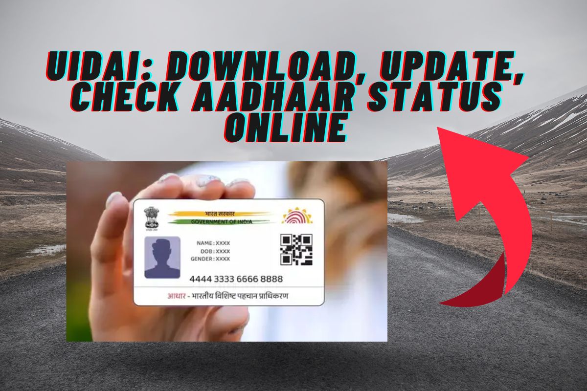 UIDAI Download, Update, Check Aadhaar Status Online